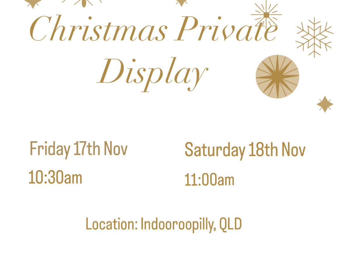 Christmas Private Display